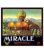 Miracle