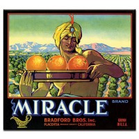 Miracle