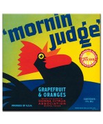 Morning Judge