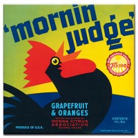 Morning Judge