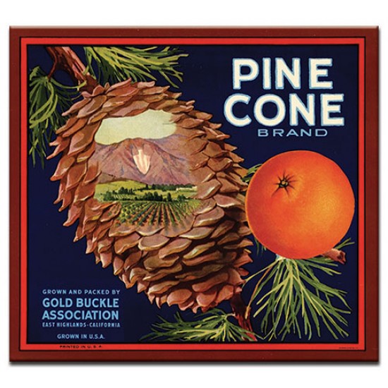 Pine Cone, lables