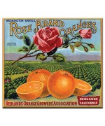 Rose Brand Oranges