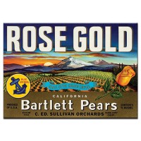 Rose Gold
