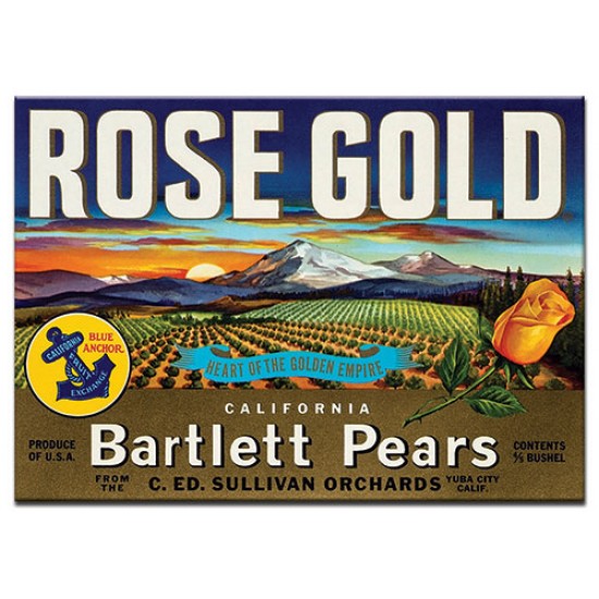 Rose Gold, lables