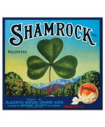 Shamrock