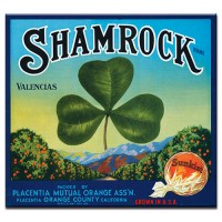 Shamrock