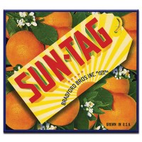 Sun Tag