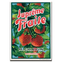 Supreme Fraise 
