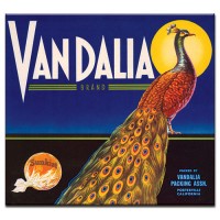 Vandalla