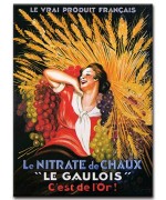 Le Gaulois