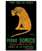 Pedro Domeco