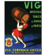 Vig