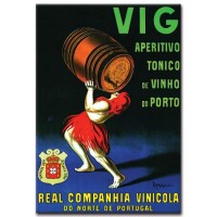 Vig