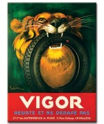 Vigor