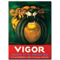 Vigor