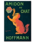 Amidon Au Chat