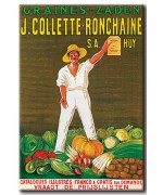 Collette Ronchain
