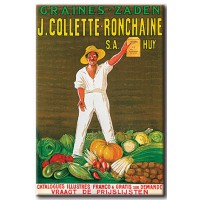 Collette Ronchain