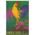 Fonseca Costa