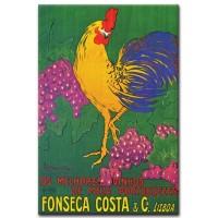Fonseca Costa