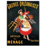 Galeries Orleanaises