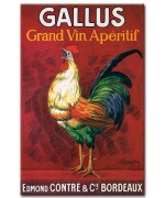 Gallus