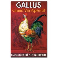 Gallus