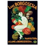 La Borgosesia