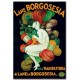 La Borgosesia, Leonetto Cappiello,כרזות שונות