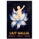 Lait Gallia