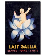 Lait Gallia