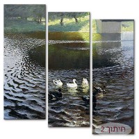 ברווזים