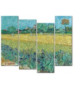 שדה אירוסים ליד ארלס