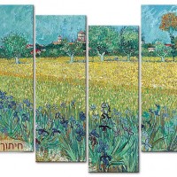 שדה אירוסים ליד ארלס