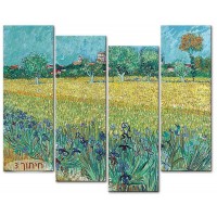 שדה אירוסים ליד ארלס