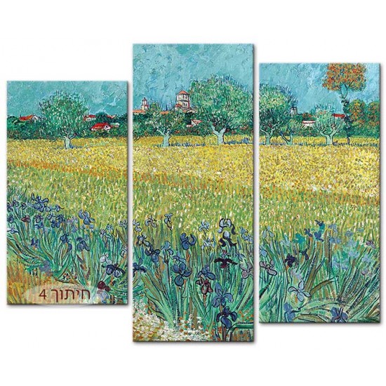 שדה אירוסים ליד ארלס - Vincent van Gogh