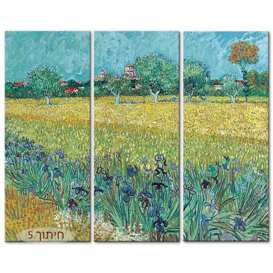 שדה אירוסים ליד ארלס - Vincent van Gogh