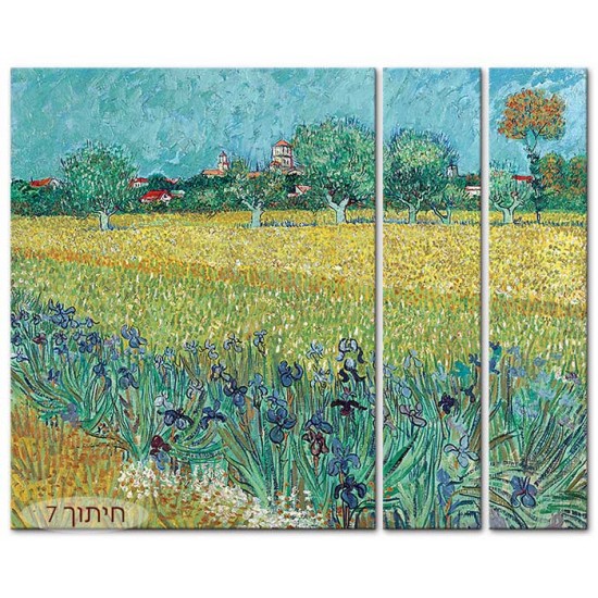 שדה אירוסים ליד ארלס - Vincent van Gogh