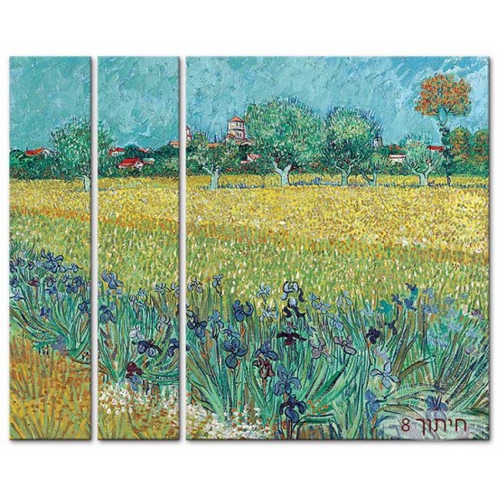 שדה אירוסים ליד ארלס - Vincent van Gogh