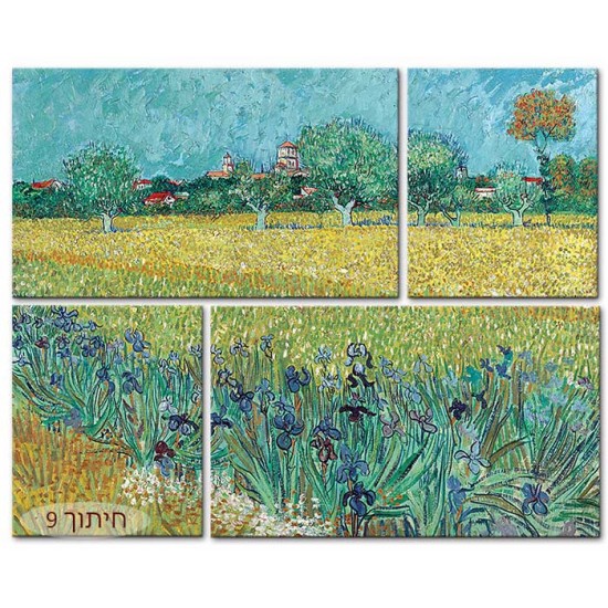 שדה אירוסים ליד ארלס - Vincent van Gogh