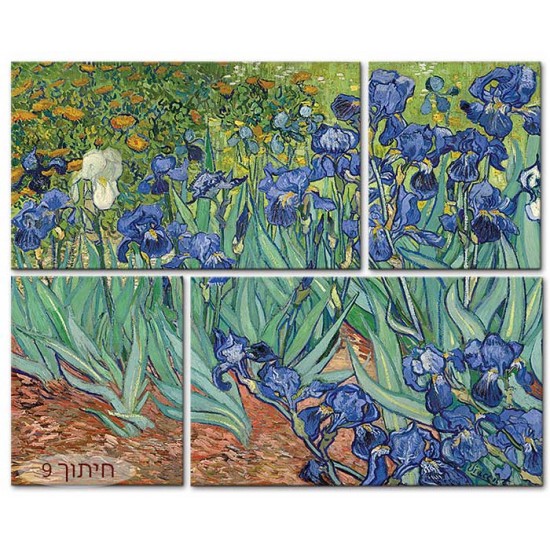איריסים - Vincent van Gogh