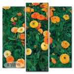 ציפורני חתול