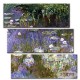 חבצלות מים - Claude Monet