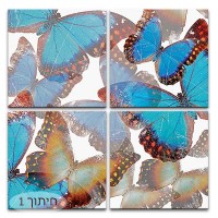 פרפרים