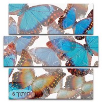 פרפרים