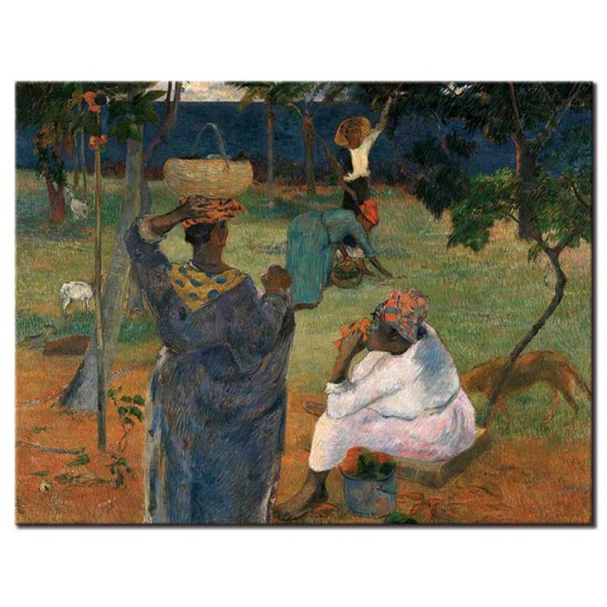 בין עצי המנגו, מרטיניק - Paul Gauguin