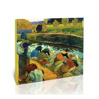 כובסות ברובין דו-רוי