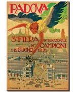 International Exhibition of Champions