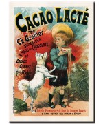 Cacao Lacté