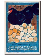 Soignons la Basse-Cour